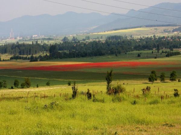 Shipka It Hotel ภายนอก รูปภาพ